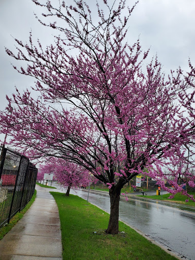 Building Materials Supplier «TW Perry - Gaithersburg», reviews and photos, 8101 Snouffer School Rd, Gaithersburg, MD 20879, USA