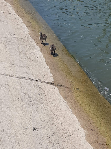 State Park «Cedar Hill State Park», reviews and photos, 1570 FM1382, Cedar Hill, TX 75104, USA