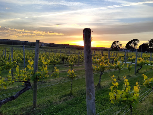 Vineyard «Westport Rivers Vineyard», reviews and photos, 417 Hixbridge Rd, Westport, MA 02790, USA
