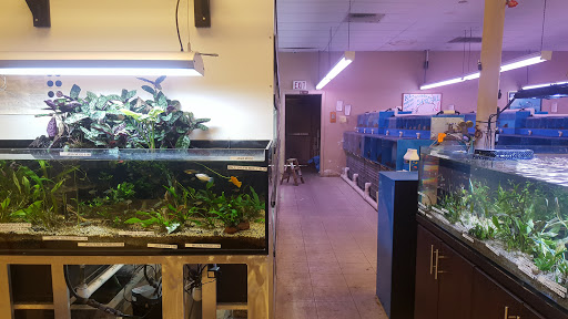 Aquarium Shop «Aquarium Arts», reviews and photos, 1810 W Baseline Rd #1, Mesa, AZ 85202, USA