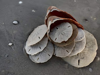 LOA ACUPUNCTURE - Photo 5 - Car repair in Largo, FL, St. Petersburg