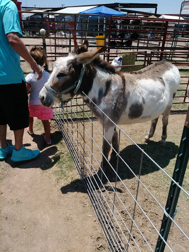 Flea Market «National Flea Market Lubbock», reviews and photos, 1808 Clovis Rd, Lubbock, TX 79415, USA