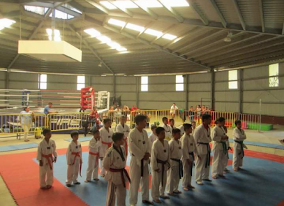 taekwondo Comude Tonala (Org. TAEKYON de Mexico)