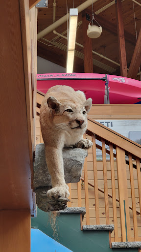 Outdoor Sports Store «Kittery Trading Post», reviews and photos, 301 US-1, Kittery, ME 03904, USA