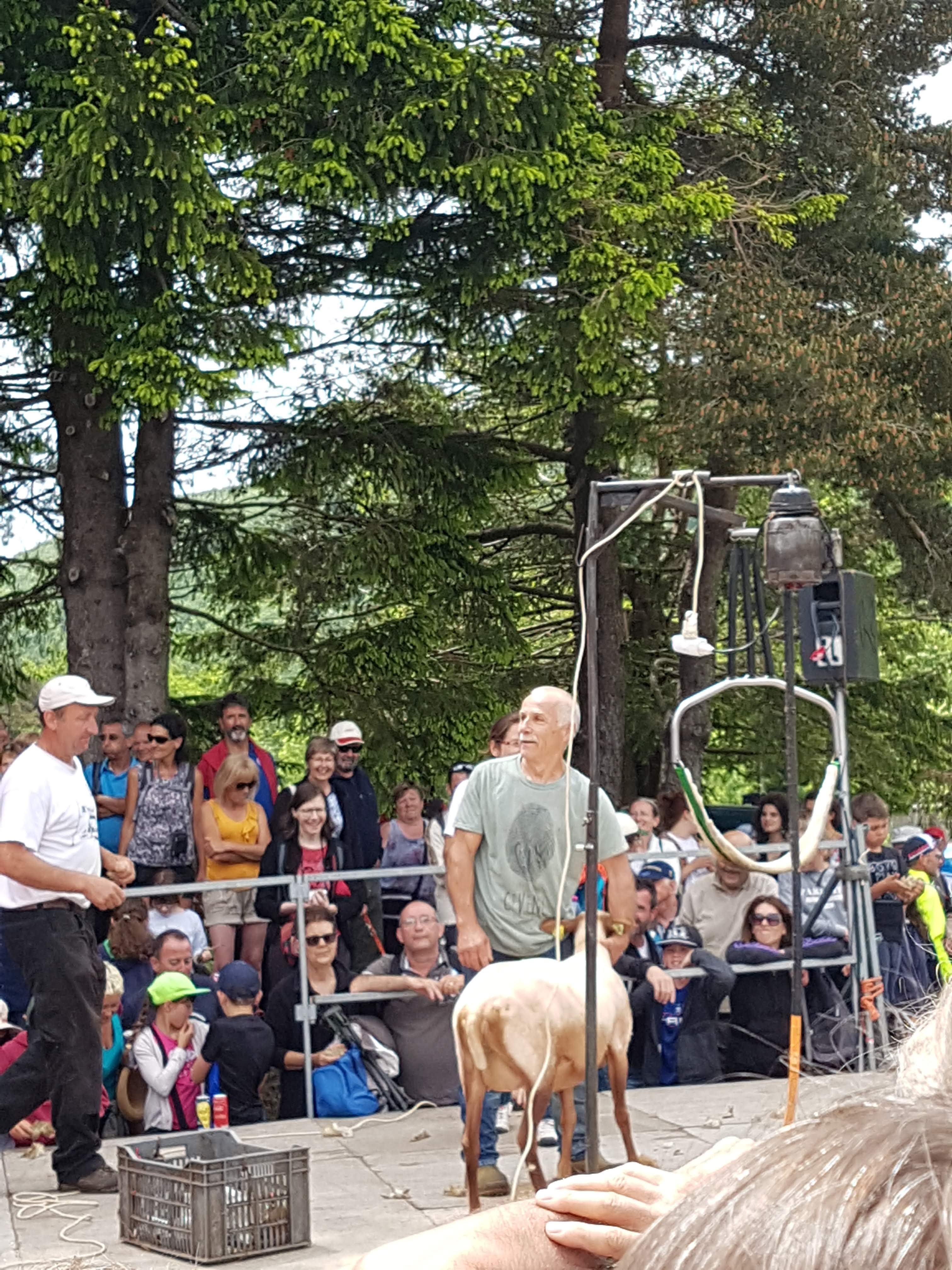 Photo n° 1 de l'avis de Valou.O fait le 11/08/2018 à 16:07