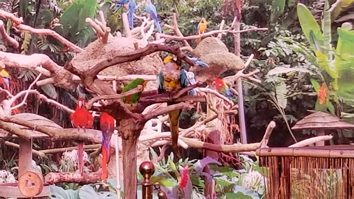 Childrens Farm «Best Long Island Pumpkin Picking», reviews and photos, 250 Old Country Rd, Melville, NY 11747, USA