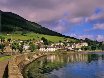 Carlingford Hen, Co. Louth