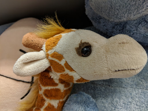 Thrift Store «Tried & True Thrift Store», reviews and photos, 35004 W Michigan Ave, Wayne, MI 48184, USA