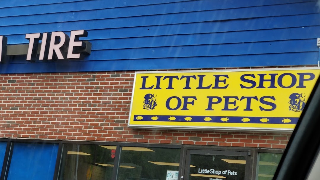 Little Shop of Pets