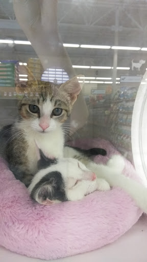 Pet Supply Store «Pet Supplies Plus», reviews and photos, 22124 Ecorse Rd, Taylor, MI 48180, USA