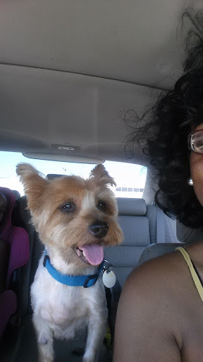 Pet Supply Store «PetSmart», reviews and photos, 9616 Reisterstown Rd #325, Owings Mills, MD 21117, USA