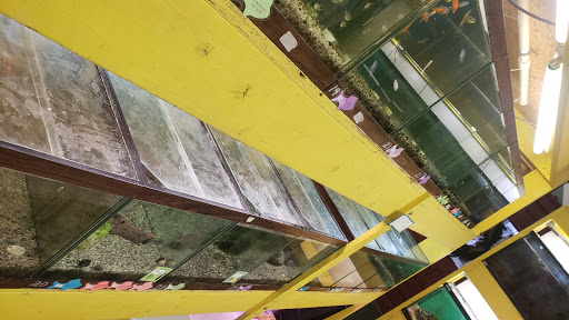 Pet Store «Hutch Pet Shop», reviews and photos, 103 Lake St, Kent, OH 44240, USA