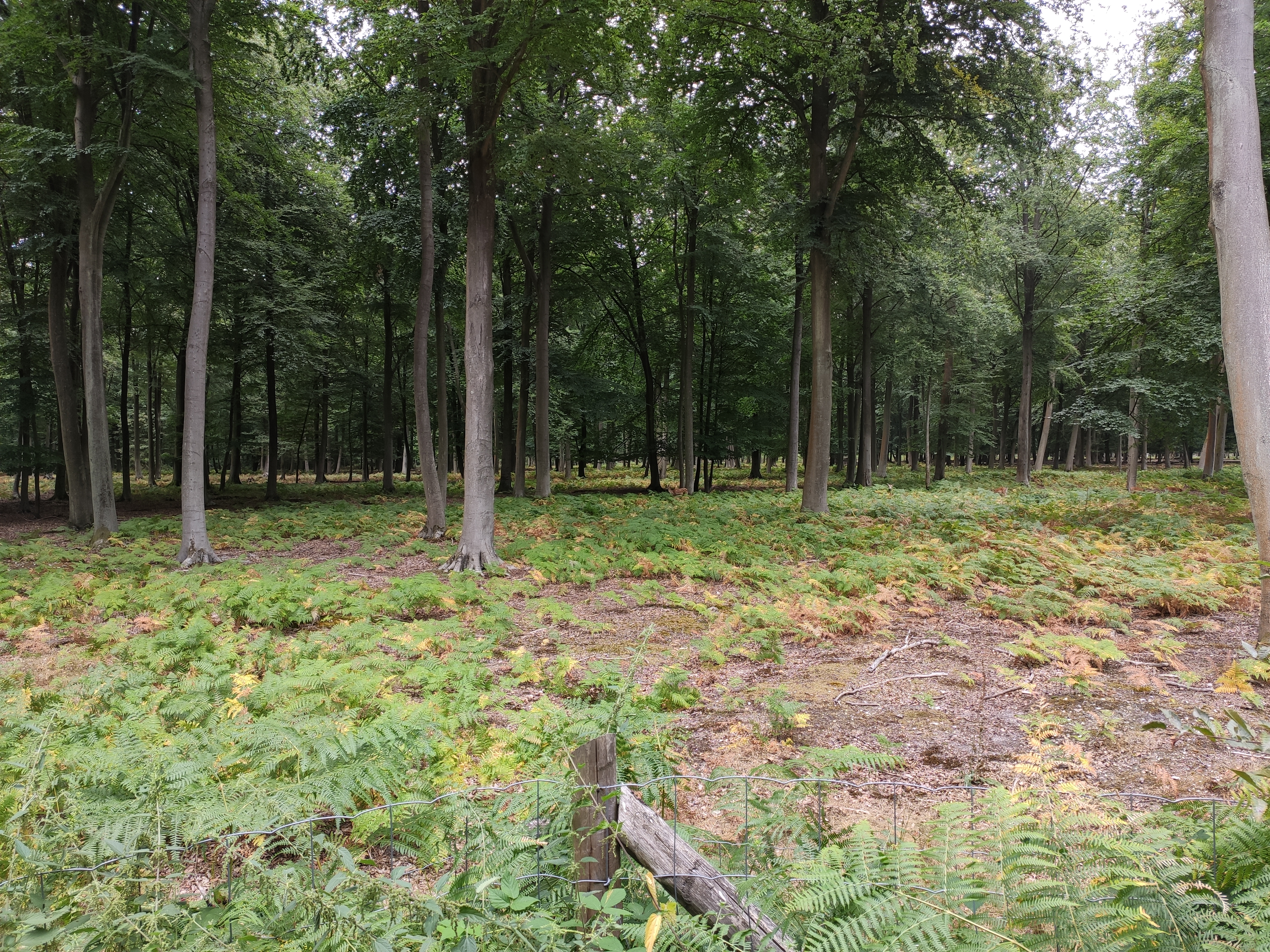 Photo n° 13 de l'avis de LAMBERT.r fait le 16/08/2022 à 19:17