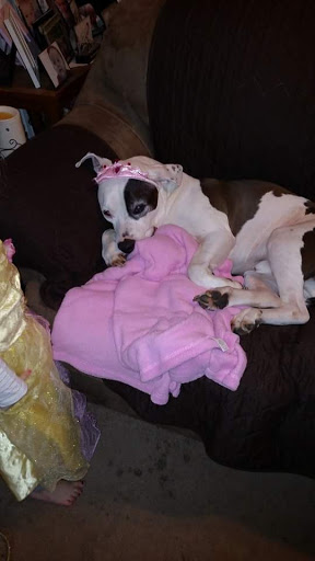 Fabric Store «Jo-Ann Fabrics and Crafts», reviews and photos, 10898 SE Oak St, Milwaukie, OR 97222, USA