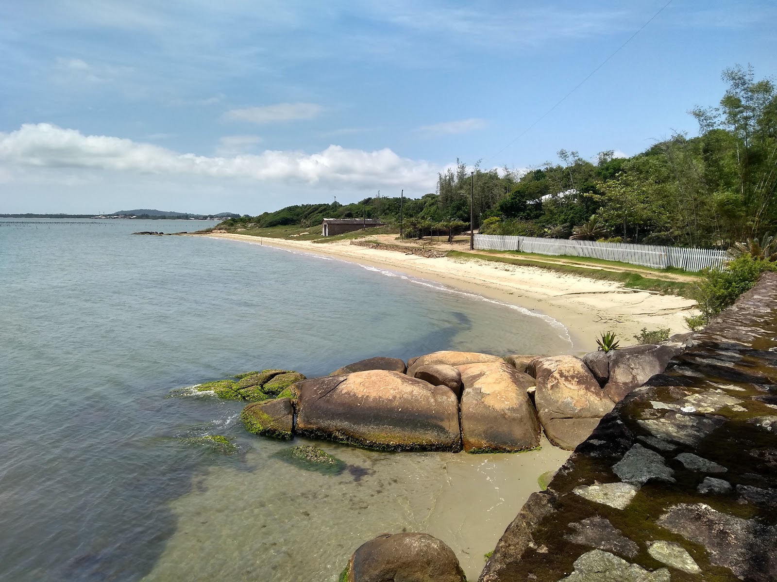 Praia de Aracatuba'in fotoğrafı vahşi alan