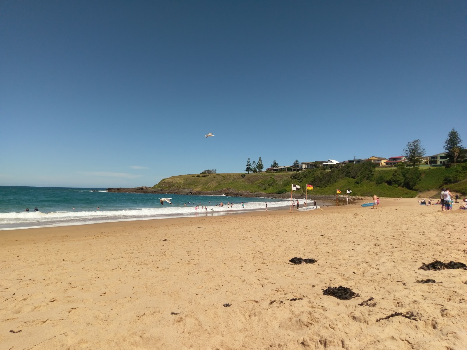 Kendalls Beach photo #7