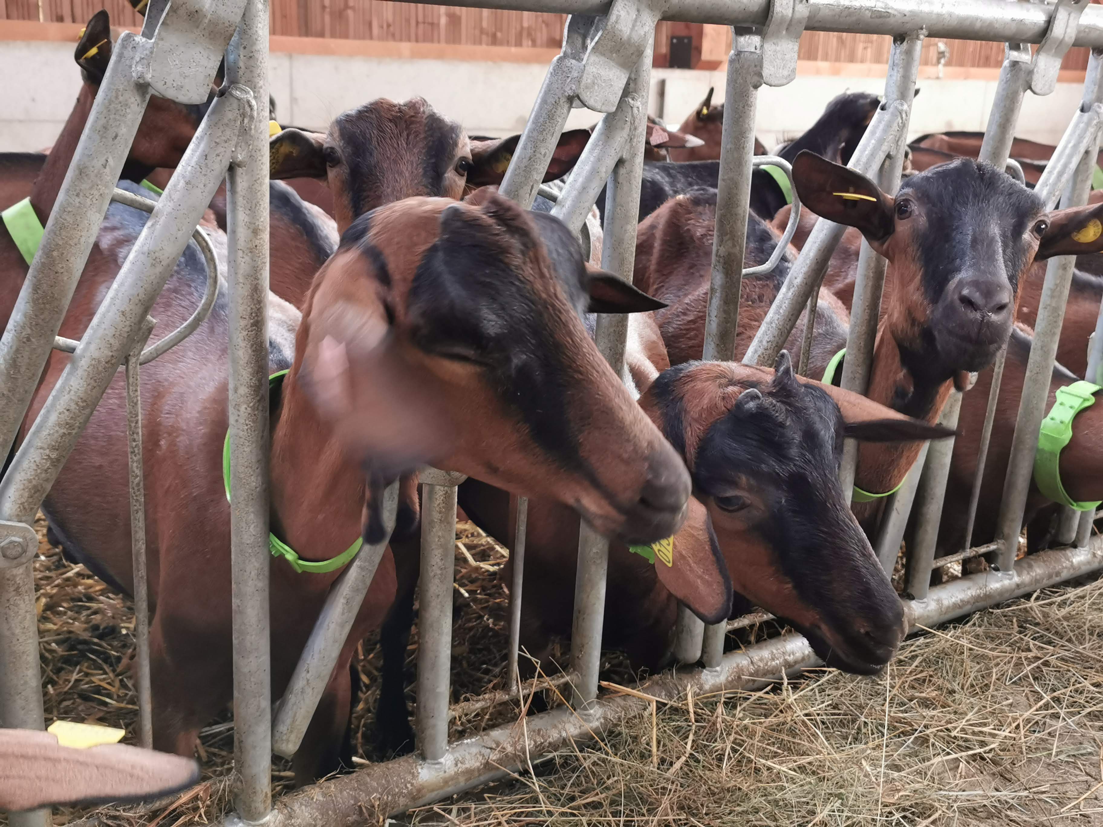 Photo n° 3 de l'avis de Emi.i fait le 25/08/2021 à 16:59