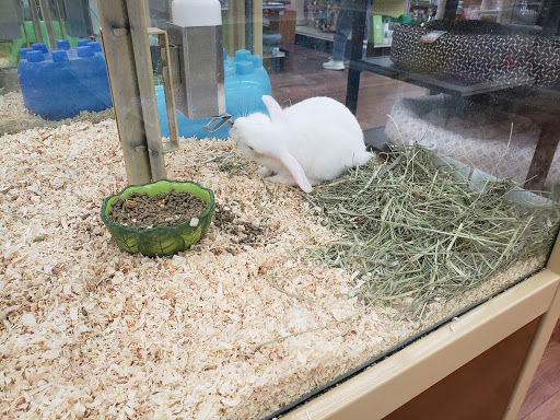 Pet Store «Pet Supermarket», reviews and photos, 9798 Glades Rd, Boca Raton, FL 33434, USA