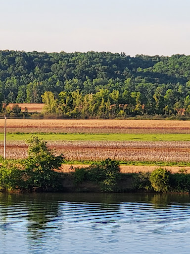 Battle Site «Fort Donelson National Battlefield», reviews and photos, 120 Lock D Rd, Dover, TN 37058, USA