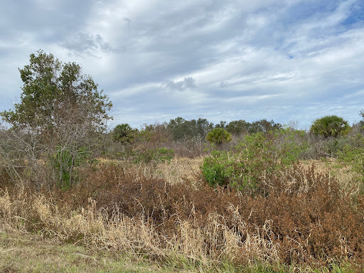 Apopka North Shore Red Trail Loop
