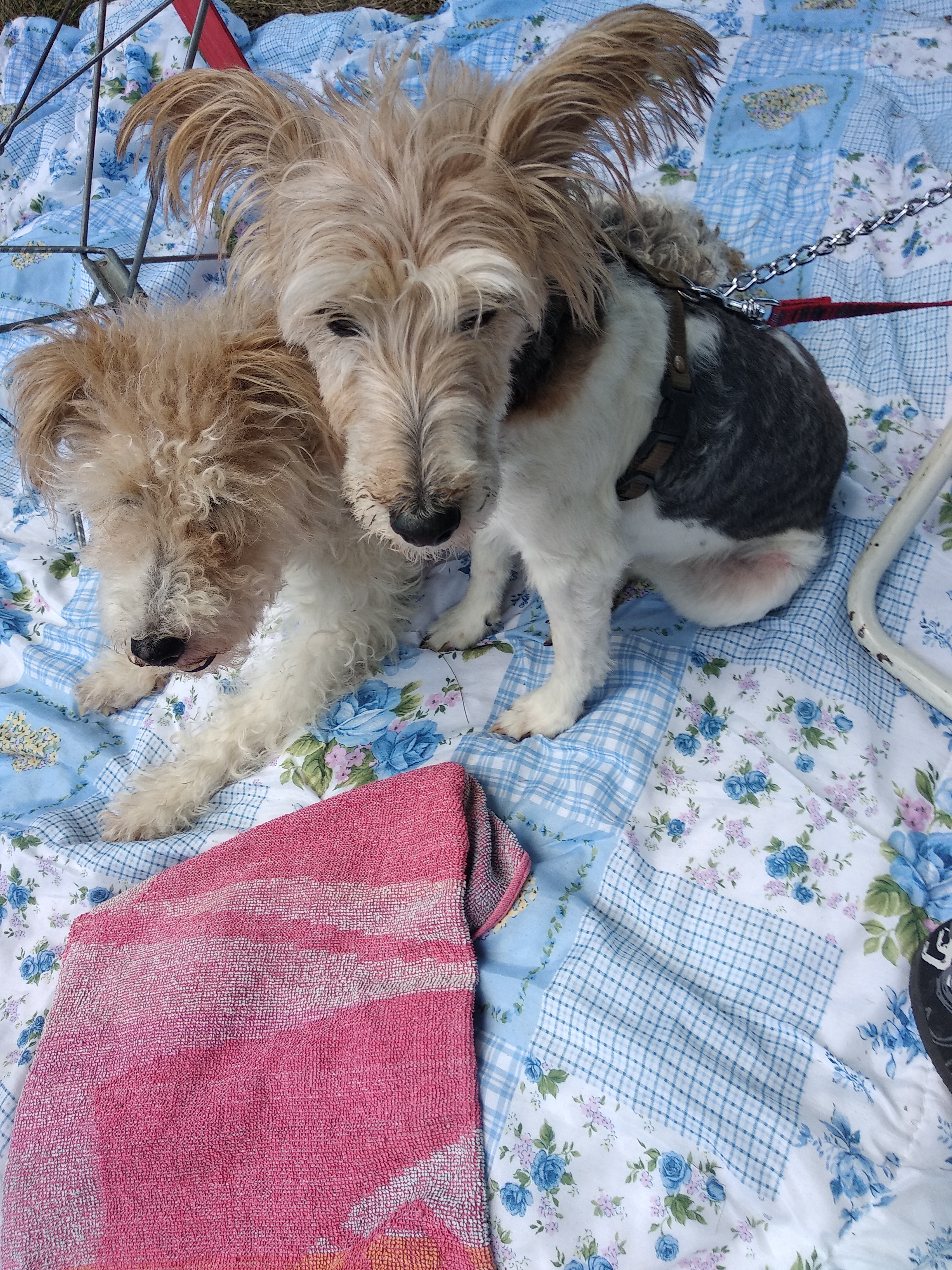 Photo n° 10 de l'avis de Marie-claude.l fait le 03/03/2017 à 14:46