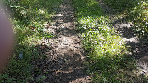 Park «Lord Hill Park», reviews and photos, 12921 150th St SE, Snohomish, WA 98290, USA