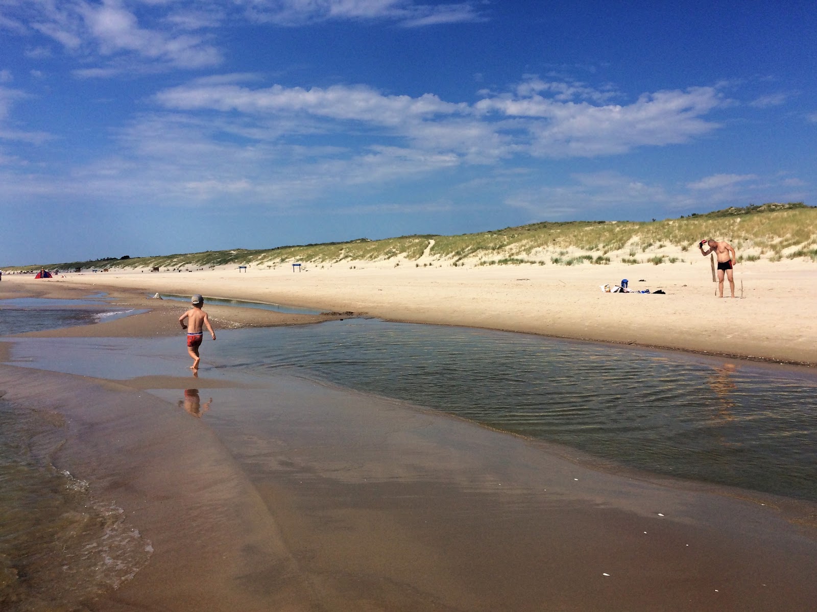 Foto af Smiltyne Beach beliggende i naturområde