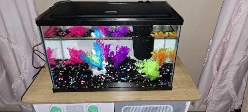 Pet Supply Store «PetSmart», reviews and photos, 2920 Little Rd, Trinity, FL 34655, USA