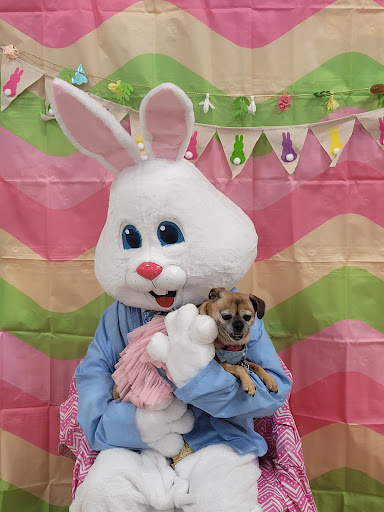 Pet Supply Store «PetSmart», reviews and photos, 5005 S 74th St, Greenfield, WI 53220, USA