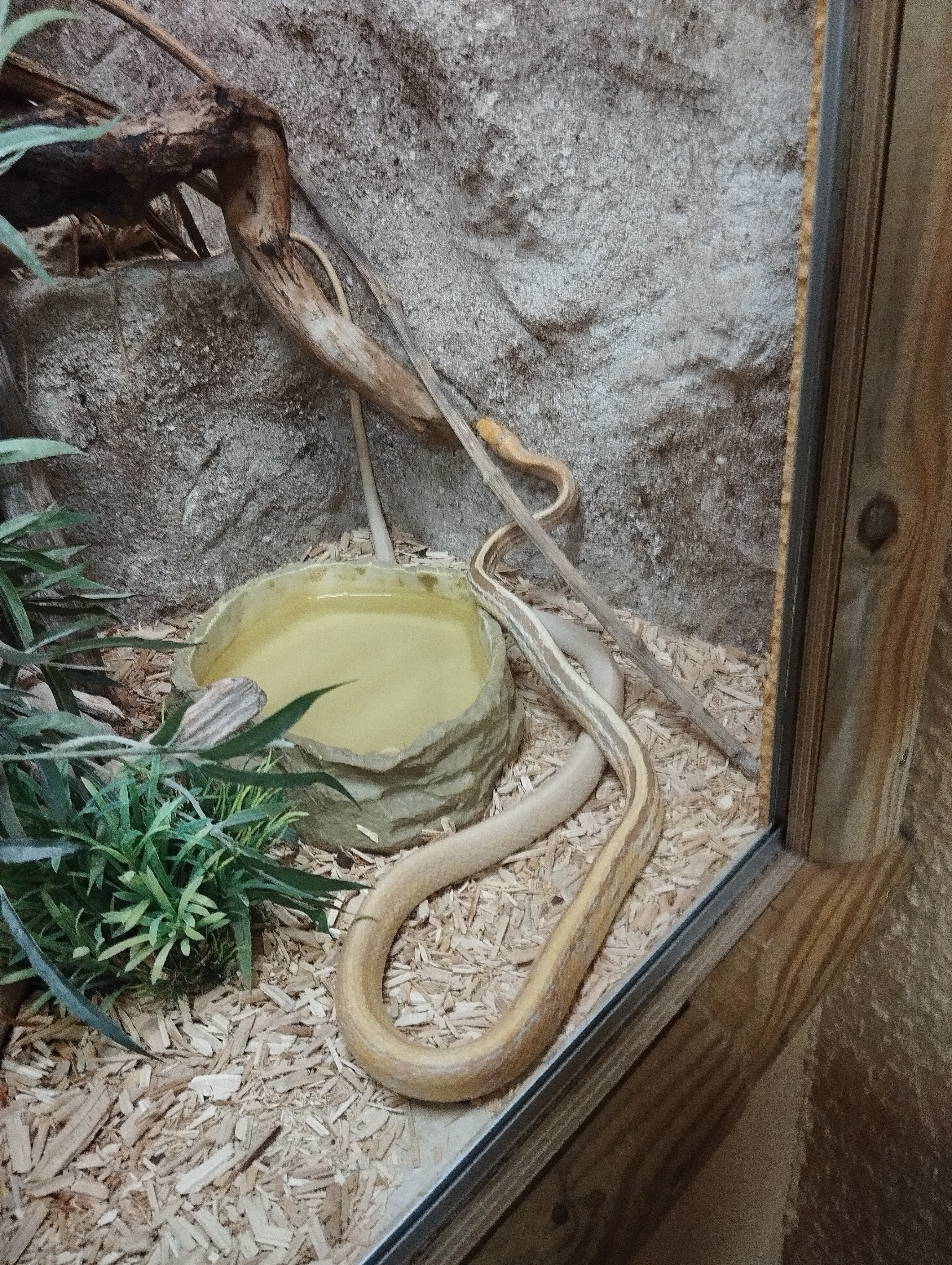 Photo n° 8 de l'avis de Seb.e fait le 17/07/2023 à 19:09