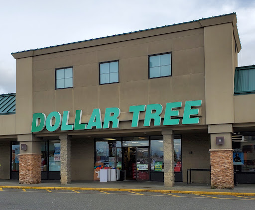 Dollar Store «Dollar Tree», reviews and photos, 3907 Bridgeport Way W, University Place, WA 98466, USA