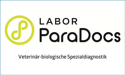 Labor ParaDocs