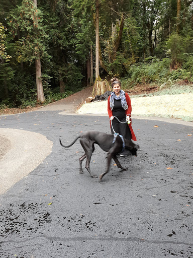 Golf Club «Meadowmeer Golf & Country Club», reviews and photos, 8530 Renny Ln NE, Bainbridge Island, WA 98110, USA