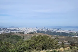San Bruno Mountain State & County Park image