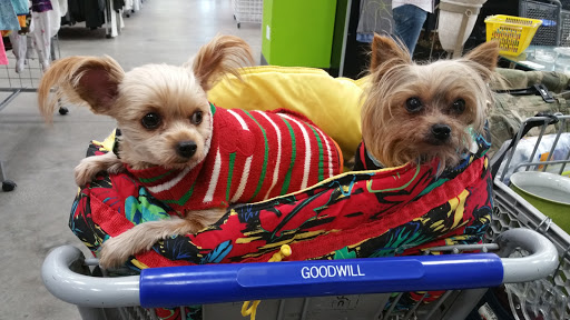 Thrift Store «Goodwill», reviews and photos, 4516 FL-46, Sanford, FL 32771, USA