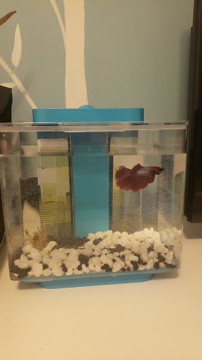 Pet Supply Store «Pet Supermarket», reviews and photos, 2924 13th St, St Cloud, FL 34769, USA