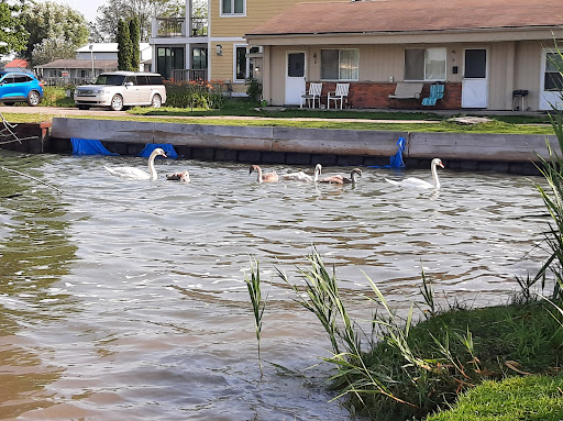 Park «Algonac State Park», reviews and photos, 8732 N River Rd, Marine City, MI 48039, USA