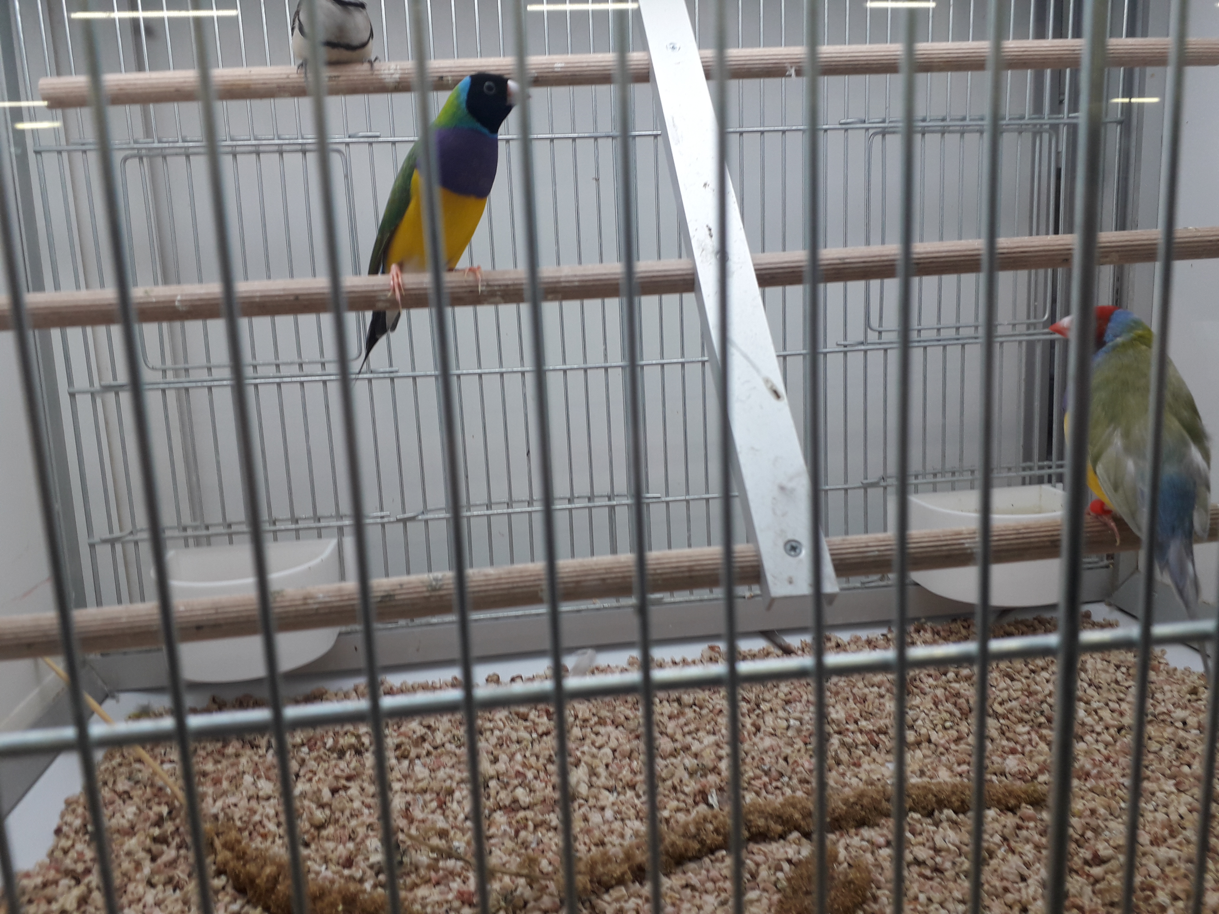 Photo n° 20 de l'avis de Gilles.a fait le 20/10/2019 à 15:43