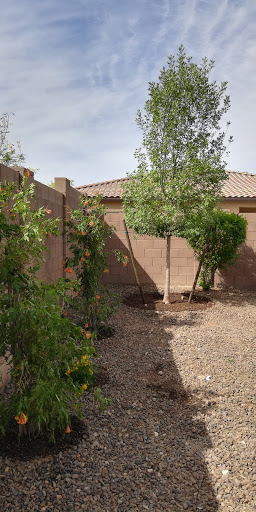 Garden Center «Moon Valley Nurseries West Valley / Avondale», reviews and photos, 11320 W Indian School Rd, Avondale, AZ 85323, USA