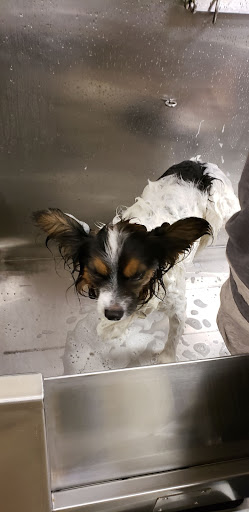 Pet Supply Store «Lemos Feed & Pet Supply», reviews and photos, 1320 Main St, Morro Bay, CA 93442, USA