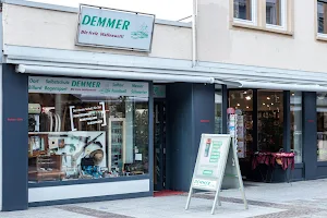 Demmer-Store Landau image