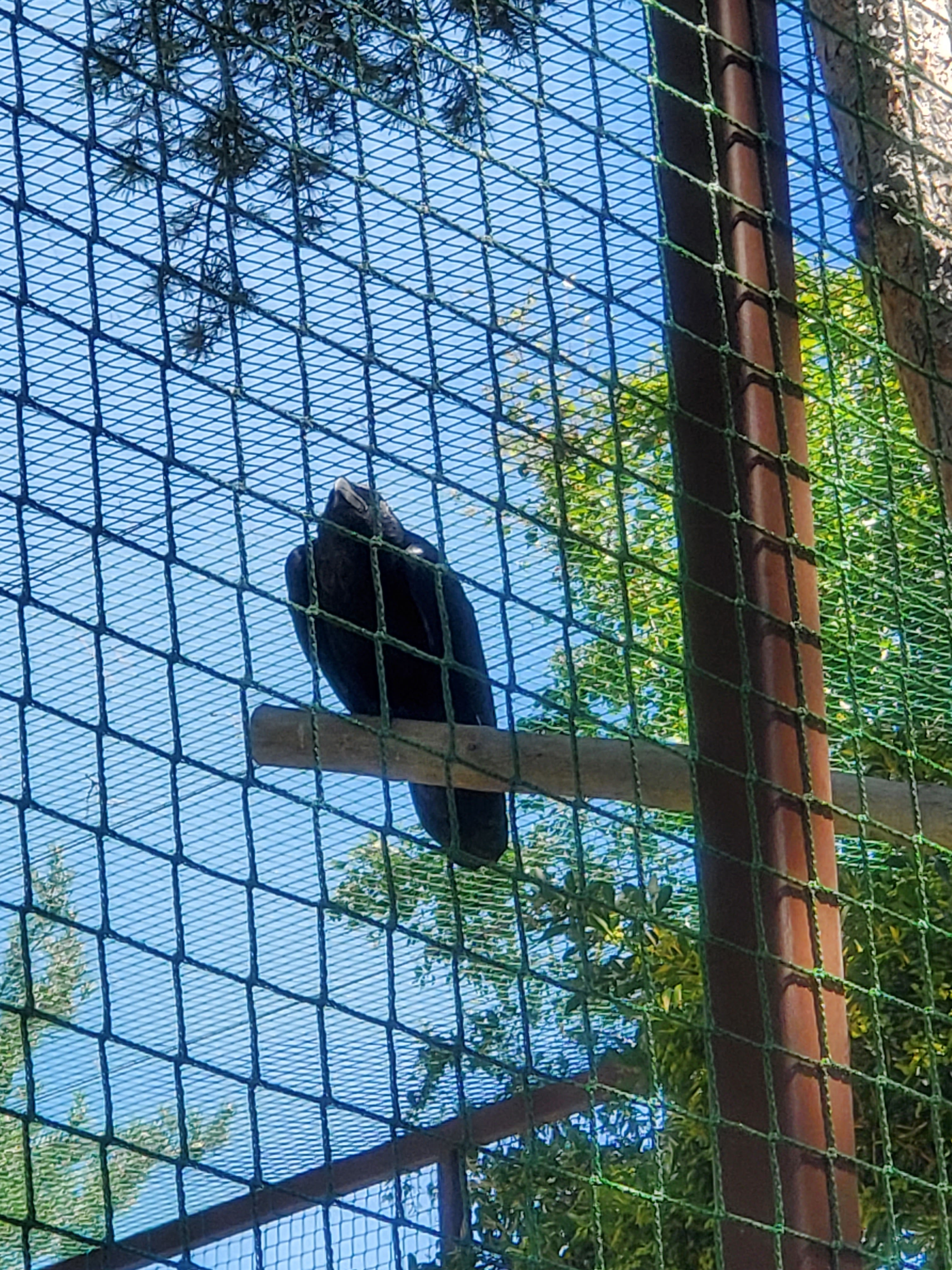 Photo n° 21 de l'avis de Lynda.e fait le 15/08/2023 à 10:47