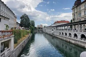 Ljubljanica image