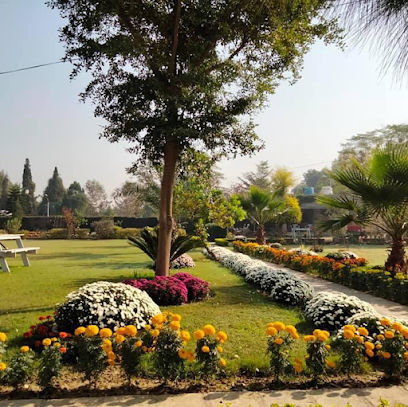 Landscaping Services in Chandigarh