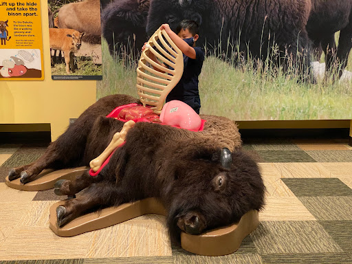 Historical Society «Minnesota History Center», reviews and photos, 345 W Kellogg Blvd, St Paul, MN 55102, USA