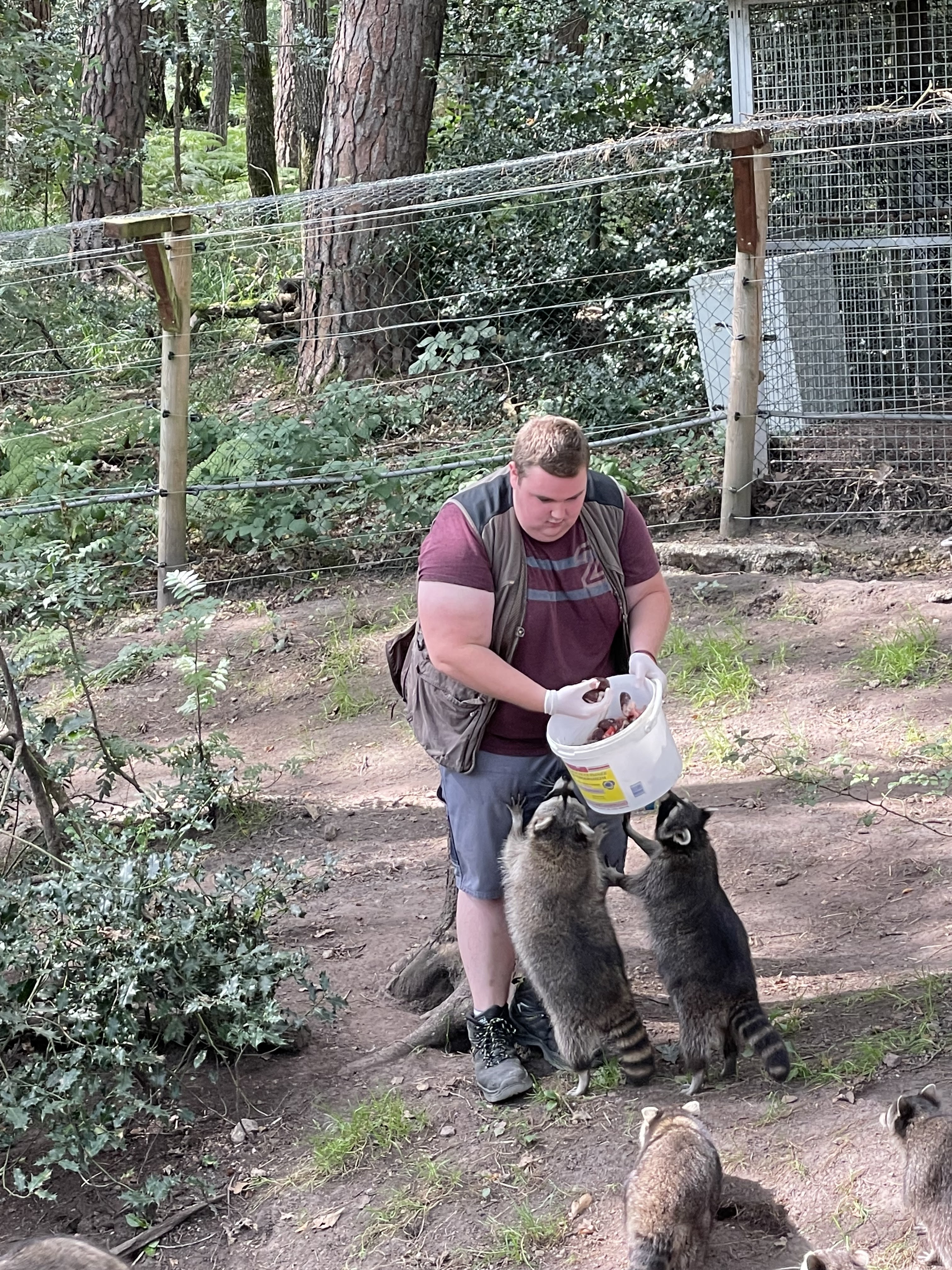 Photo n° 31 de l'avis de joel.u fait le 22/09/2021 à 14:33