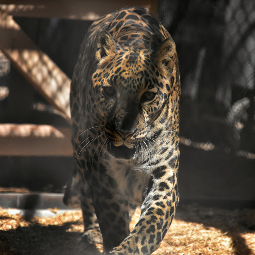 Wildlife Rescue Service «Southwest Wildlife Conservation Center», reviews and photos, 27026 N 156th St, Scottsdale, AZ 85262, USA