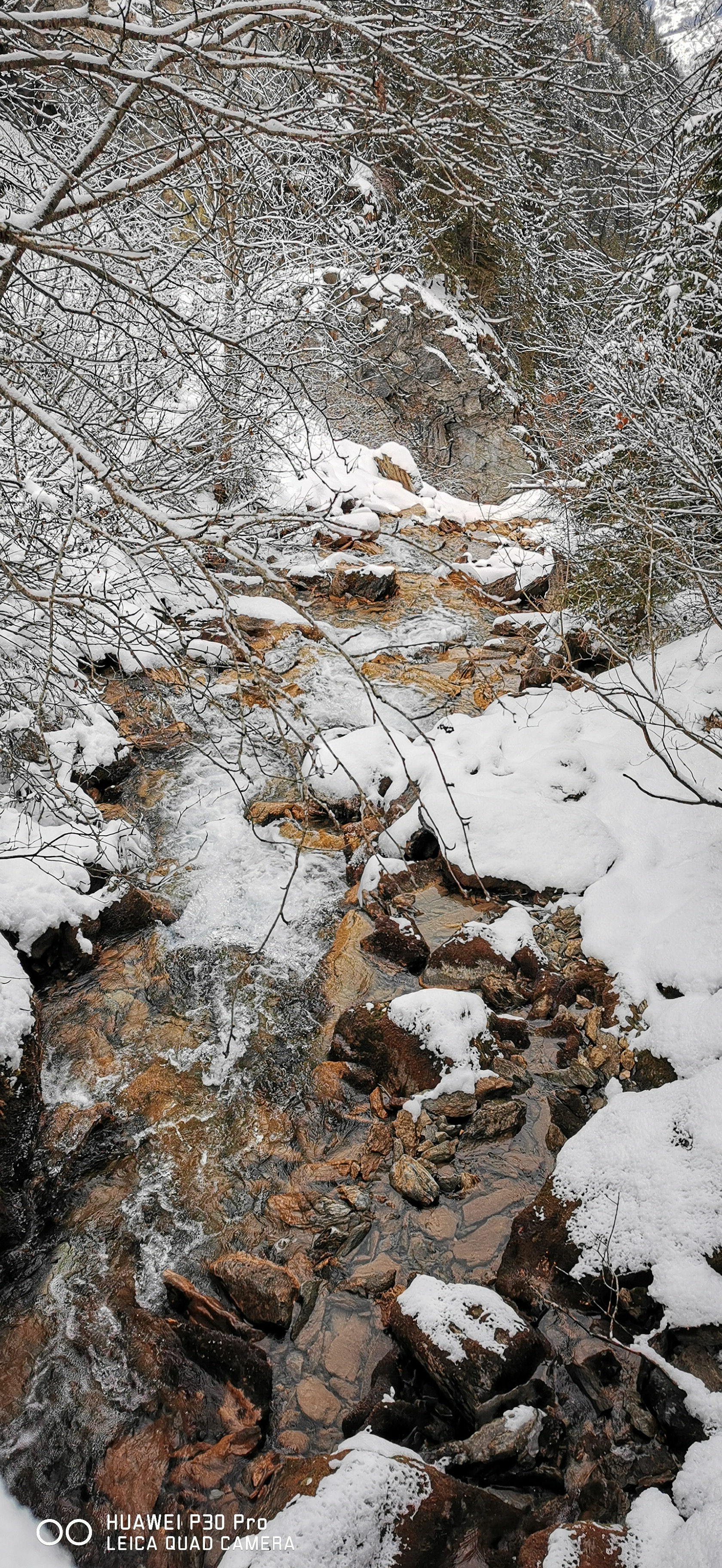 Photo n° 10 de l'avis de Gharib. fait le 24/01/2023 à 18:09