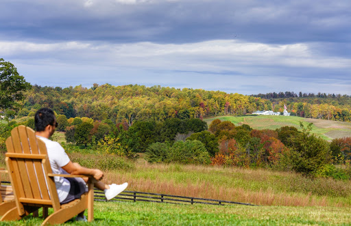 Winery «Trump Winery Tasting Room», reviews and photos, 3550 Blenheim Rd, Charlottesville, VA 22902, USA