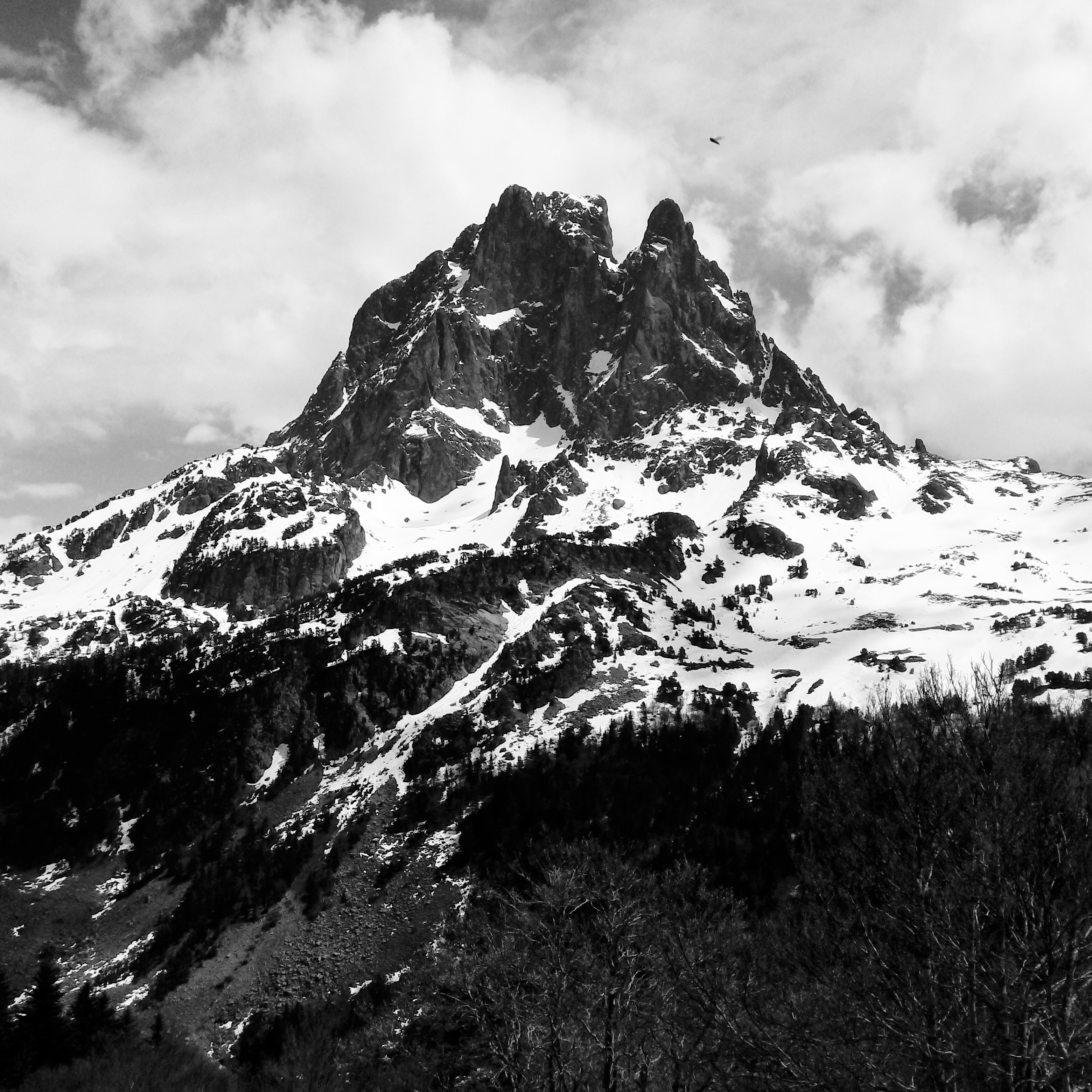 Photo n° 5 de l'avis de philippe.c fait le 25/05/2018 à 13:12